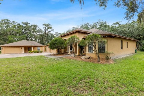 House in Lutz, Florida 6 bedrooms, 372.72 sq.m. № 1773367 - photo 3