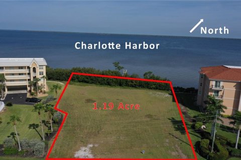 Land in Punta Gorda, Florida № 2166718 - photo 1