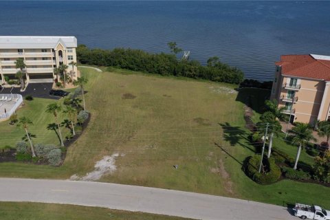 Land in Punta Gorda, Florida № 2166718 - photo 3