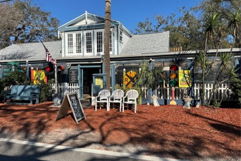 Land in Palm Harbor, Florida № 1558871 - photo 15