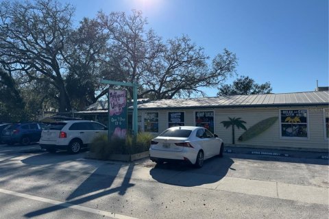 Land in Palm Harbor, Florida № 1558871 - photo 12