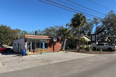Land in Palm Harbor, Florida № 1558871 - photo 16