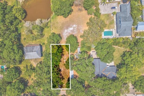 Land in Palm Harbor, Florida № 1558871 - photo 2