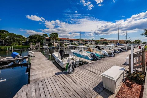 Condo in Tarpon Springs, Florida, 2 bedrooms  № 1618106 - photo 23