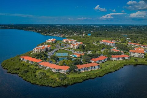 Condo in Tarpon Springs, Florida, 2 bedrooms  № 1618106 - photo 1