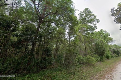 Land in Old Town, Florida № 2162194