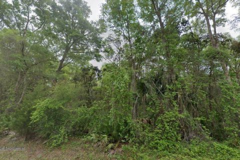 Land in Old Town, Florida № 2162194 - photo 2