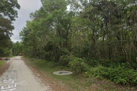 Land in Old Town, Florida № 2162194 - photo 3