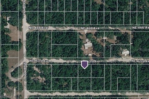Land in Old Town, Florida № 2162194 - photo 4
