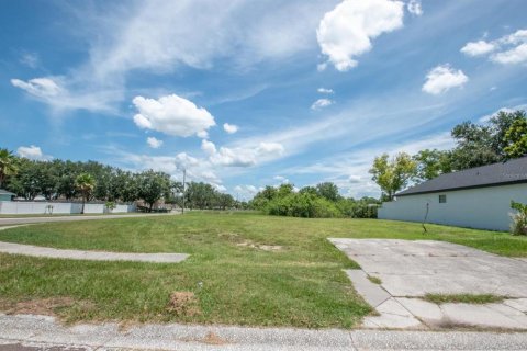 Terreno en venta en Apollo Beach, Florida № 1816572 - foto 3
