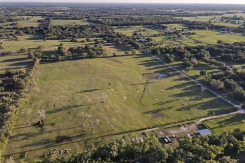 Land in Morriston, Florida № 2155561 - photo 4