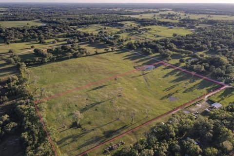 Land in Morriston, Florida № 2155561 - photo 3
