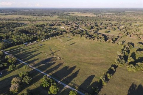 Land in Morriston, Florida № 2155561 - photo 5