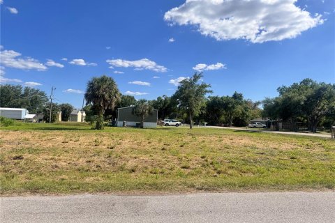 Land in Punta Gorda, Florida № 2159031 - photo 8