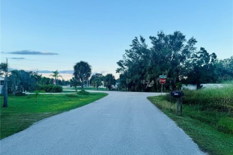 Land in Punta Gorda, Florida № 2159031 - photo 13