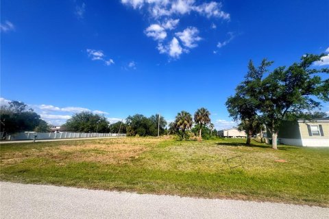 Land in Punta Gorda, Florida № 2159031 - photo 3