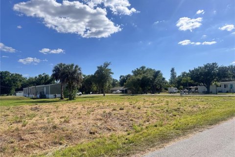 Terrain à vendre à Punta Gorda, Floride № 2159031 - photo 27