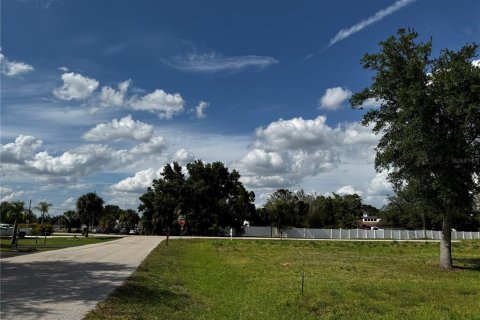 Land in Punta Gorda, Florida № 2159031 - photo 22