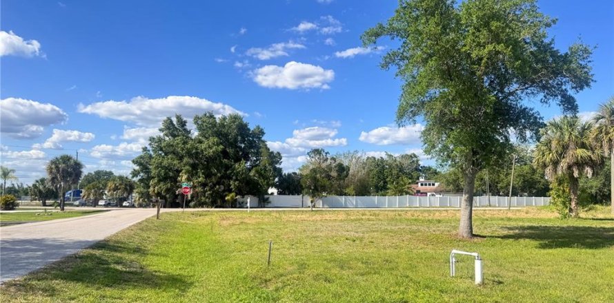Land in Punta Gorda, Florida № 2159031