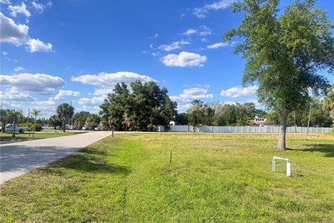 Land in Punta Gorda, Florida № 2159031 - photo 5