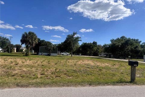 Terrain à vendre à Punta Gorda, Floride № 2159031 - photo 26