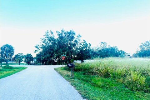 Land in Punta Gorda, Florida № 2159031 - photo 11