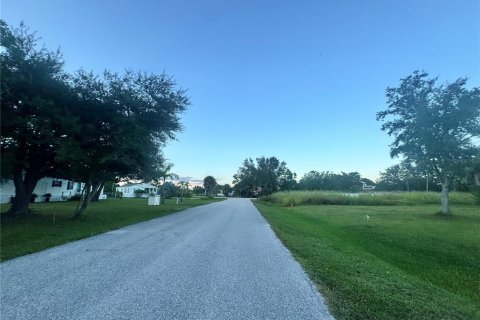 Land in Punta Gorda, Florida № 2159031 - photo 12