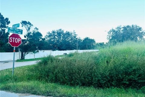 Land in Punta Gorda, Florida № 2159031 - photo 21
