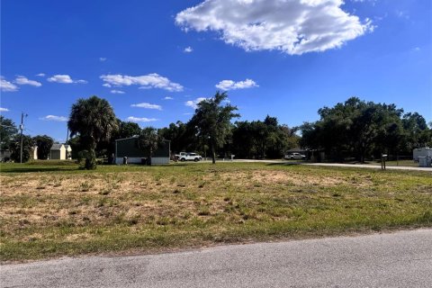 Terrain à vendre à Punta Gorda, Floride № 2159031 - photo 25
