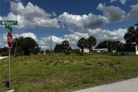 Land in Punta Gorda, Florida № 2159031 - photo 24