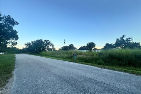 Land in Punta Gorda, Florida № 2159031 - photo 18