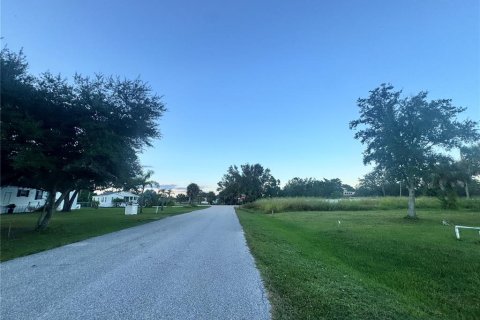 Land in Punta Gorda, Florida № 2159031 - photo 19