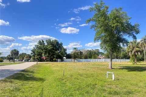 Land in Punta Gorda, Florida № 2159031 - photo 6