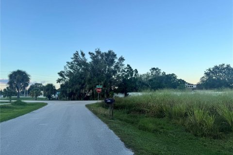 Land in Punta Gorda, Florida № 2159031 - photo 16