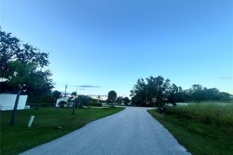 Land in Punta Gorda, Florida № 2159031 - photo 14