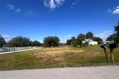 Terrain à vendre à Punta Gorda, Floride № 2159031 - photo 28
