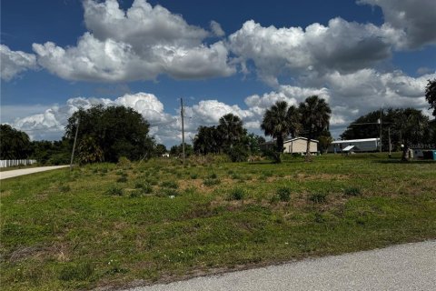 Land in Punta Gorda, Florida № 2159031 - photo 23