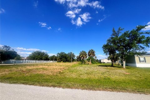Land in Punta Gorda, Florida № 2159031 - photo 2
