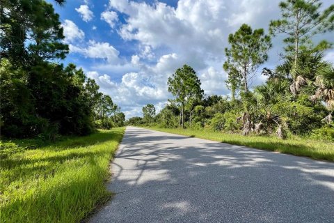 Land in Port Charlotte, Florida № 2159943 - photo 2
