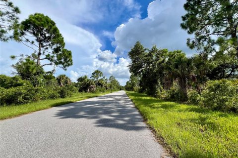 Land in Port Charlotte, Florida № 2159943 - photo 3
