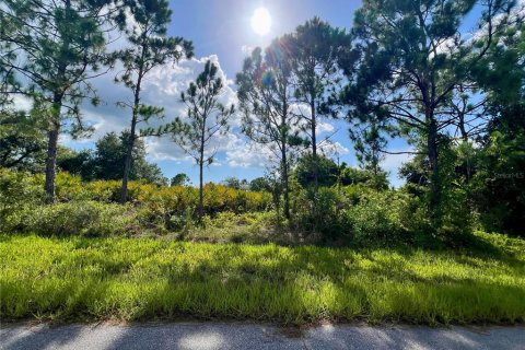 Land in Port Charlotte, Florida № 2159943