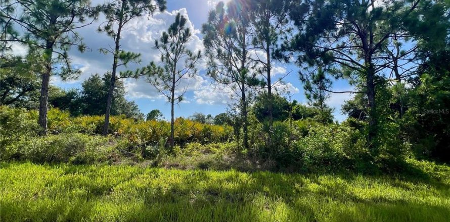 Land in Port Charlotte, Florida № 2159943