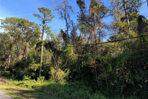 Land in Orlando, Florida № 1868989 - photo 1