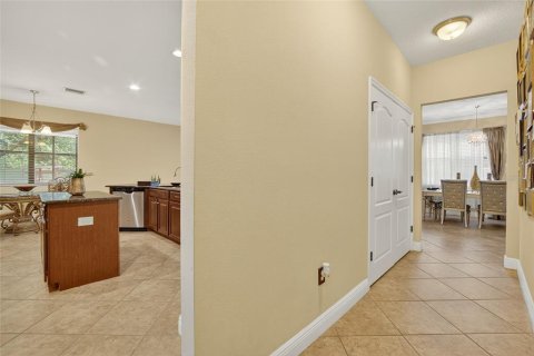House in Tampa, Florida 4 bedrooms, 268.3 sq.m. № 1817188 - photo 10