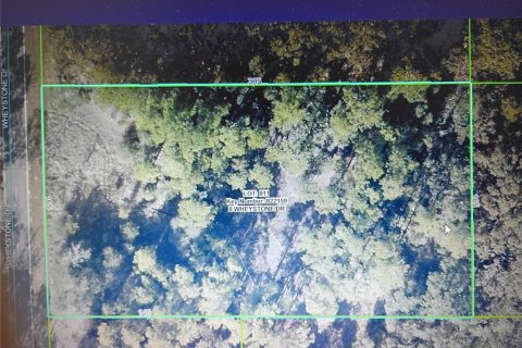 Land in Webster, Florida № 2163129