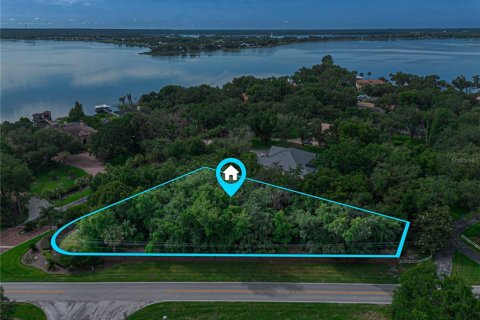 Terrain à vendre à Mount Dora, Floride № 2106726 - photo 8