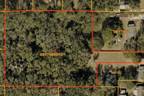 Land in Valrico, Florida № 2111248 - photo 2