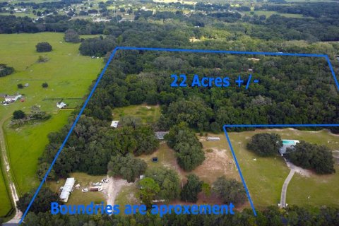 Commercial property in Weirsdale, Florida 6 bedrooms, 98.1 sq.m. № 2205723 - photo 2