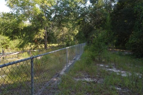 Commercial property in Weirsdale, Florida 6 bedrooms, 98.1 sq.m. № 2205723 - photo 15