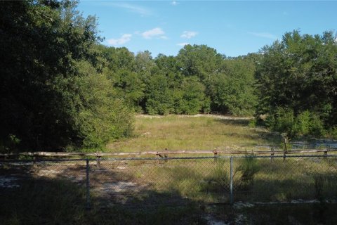 Commercial property in Weirsdale, Florida 6 bedrooms, 98.1 sq.m. № 2205723 - photo 12